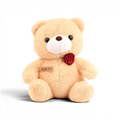 Soft Plush Teddy Bear