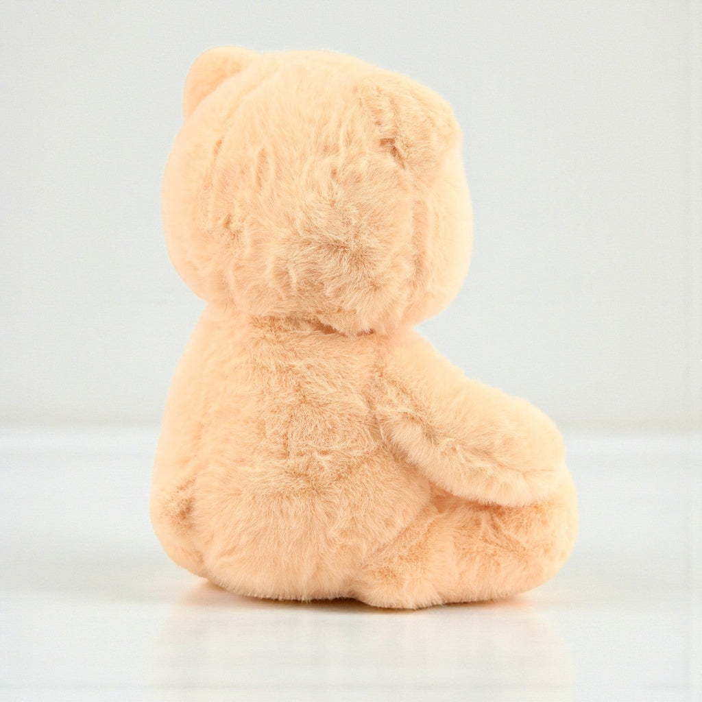 Soft Plush Teddy Bear